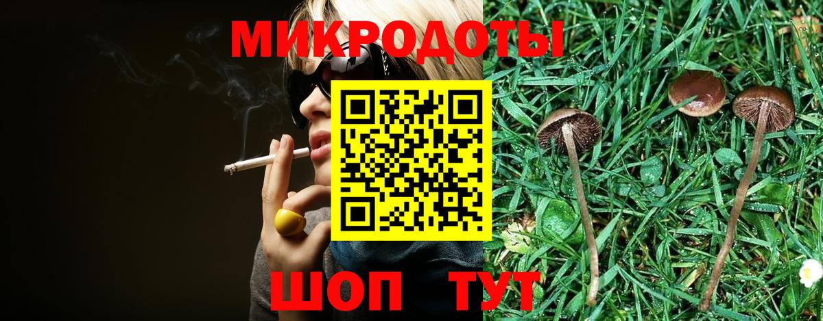 Псилоцибиновые грибы MAGIC MUSHROOMS Полевской